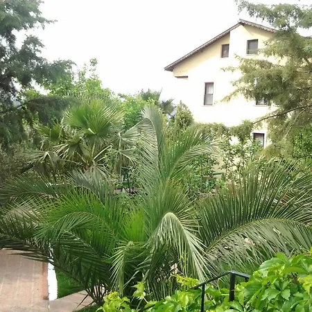 Eftelya 3* Ölüdeniz